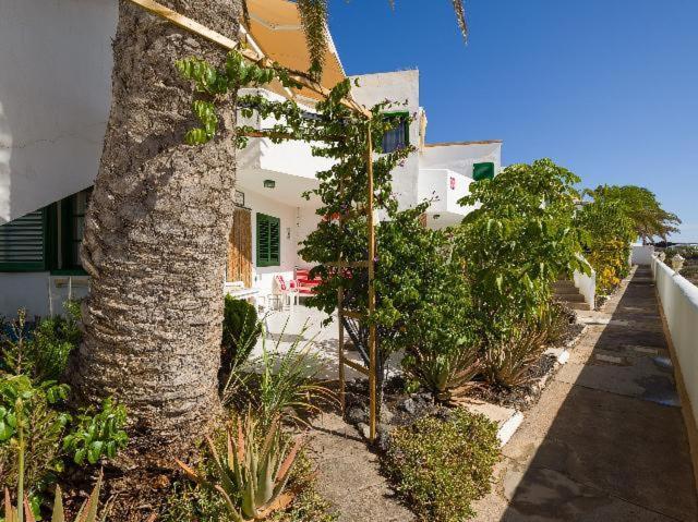 Apartamento Nire Lula En La Misma Playa Cotillo Exteriér fotografie
